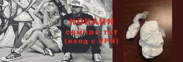 молекула духа Белая Холуница