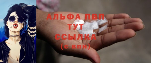 молекула духа Белая Холуница