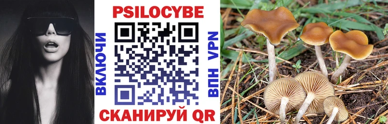 сайты даркнета официальный сайт  Черемхово  Галлюциногенные грибы GOLDEN TEACHER 